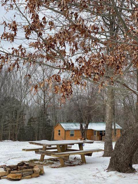 Cabin With A Tree House On A Buffalo Farm . Marshall Eksteriør bilde